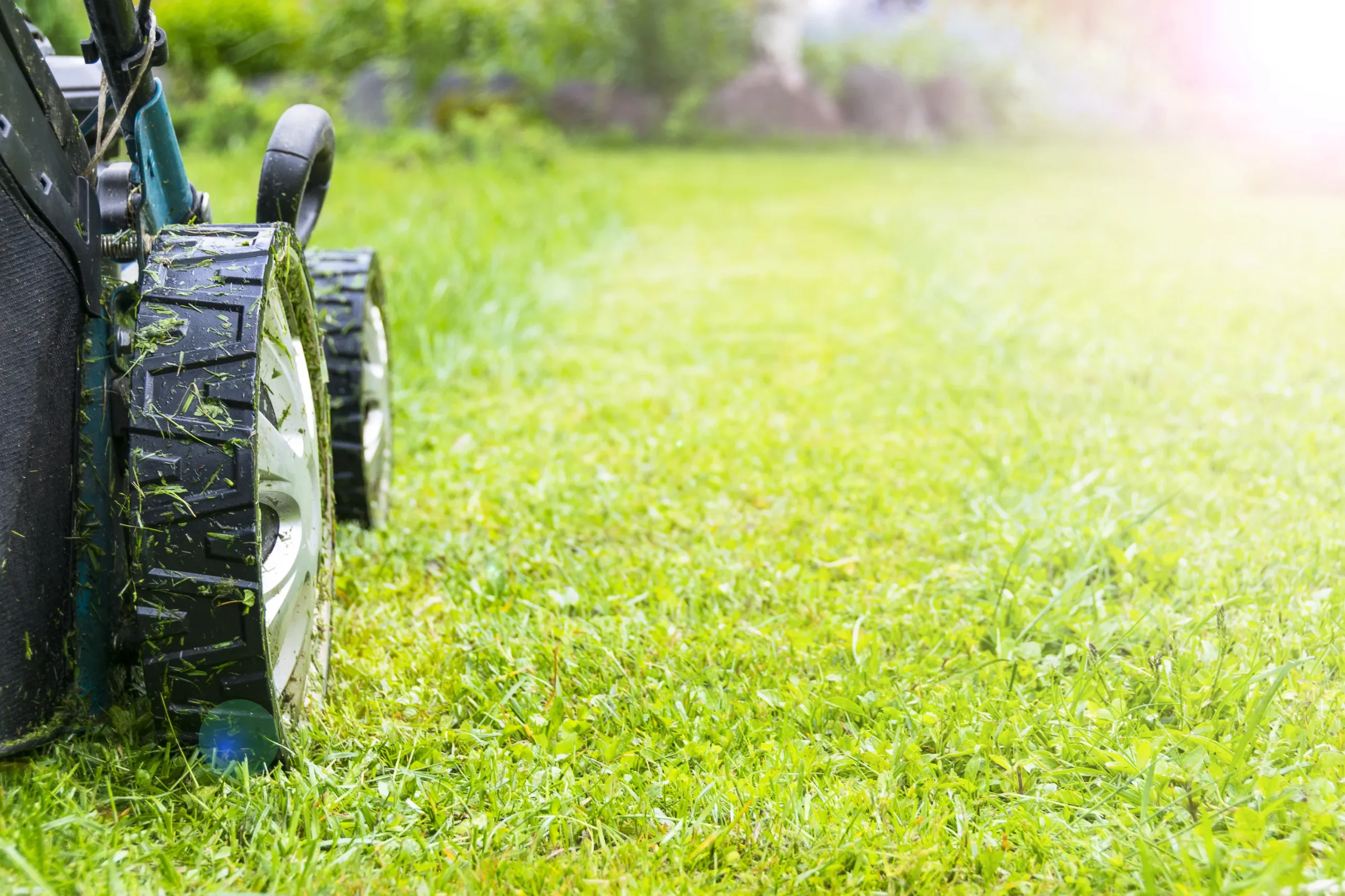 Reliable Lawn Mowing Services to Keep Your Yard Neat